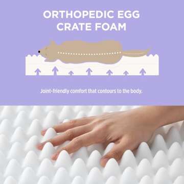 Lesure Cute Orthopedic Dog Bed for Small Dogs, Waterproof Chic Flat Pet Mat with Removable Washable Cover, Fuzzy Thick Egg Crate Foam Pet Mattress for Indoor Use (24" x 18", Cream)