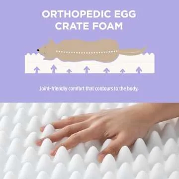 Lesure Cute Orthopedic Dog Bed for Small Dogs, Waterproof Chic Flat Pet Mat with Removable Washable Cover, Fuzzy Thick Egg Crate Foam Pet Mattress for Indoor Use (24" x 18", Cream)