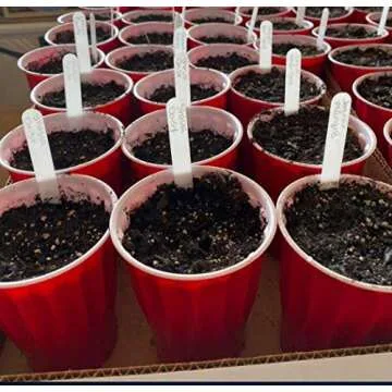 Delatanus 6 Inch Plant Markers, White - 100pcs