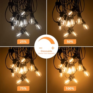 SUNTHIN Outdoor String Lights - 48FT Shatterproof Bulbs