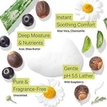 Tree to Tub Sensitive Skin Face Wash for Dry Skin - Fragrance Free Gentle Face Cleanser for Women & Men, Unscented Hydrating Foaming Facial Cleanser, Daily Face Soap w/All Natural Organic Aloe Vera