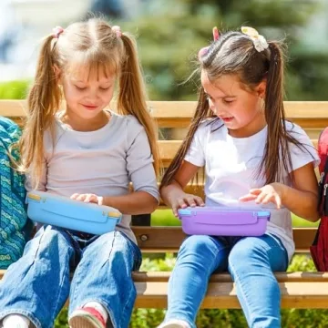 Shell and Turtle Bento Box for Kids and Adults