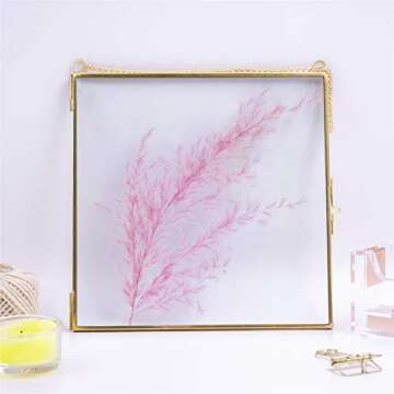NCYP Double Glass Floating Frame 8" x 8" for Pressed Dried Flowers, Photo, Picture - Modern Indoor W...