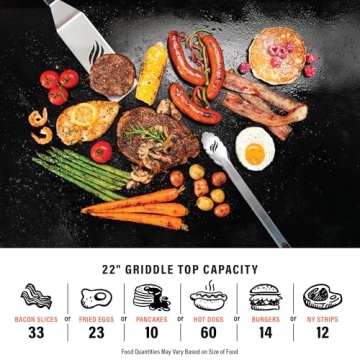 Blackstone 1666 22” Tabletop Griddle with Stainless Steel Faceplate, Powder Coated Steel, Black