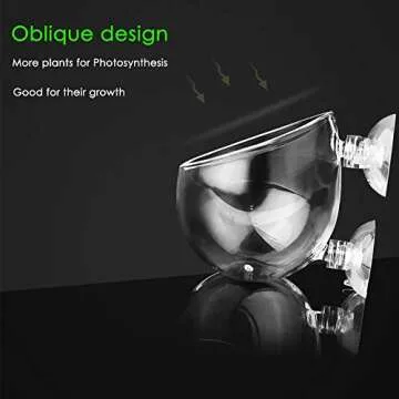Capetsma Crystal Glass Aquatic Plant Pots for Fish Tanks