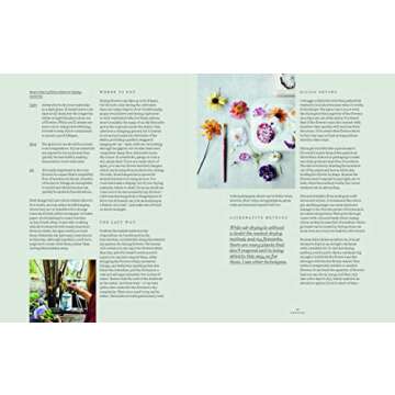 Everlastings: How to Grow, Harvest and Create with Dried Flowers