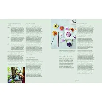Everlastings: How to Grow, Harvest and Create with Dried Flowers