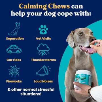 Solid Gold Dog Calming Chews for Dogs, Treats with Melatonin & Valerian Root - 120 Count, All Breeds & Sizes