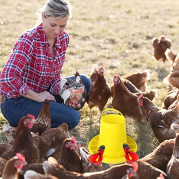 10pcs Chicken Waterer Easy Install Poultry Hydration Kit