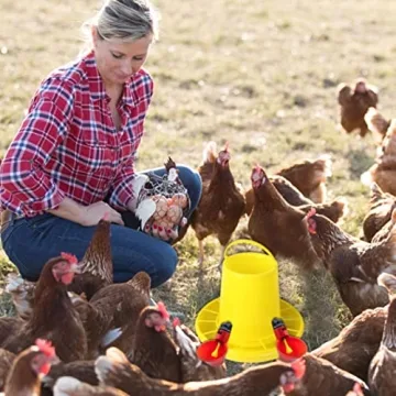 10pcs Chicken Waterer Easy Install Poultry Hydration Kit