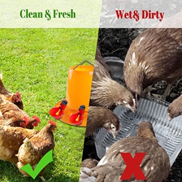 10pcs Chicken Waterer Easy Install Poultry Hydration Kit