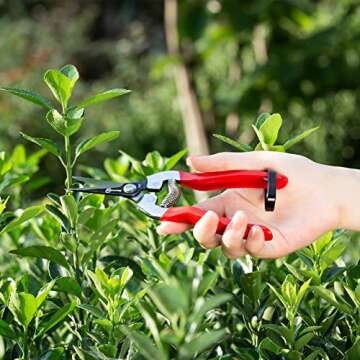Sanung Pruning Shears Garden Tools Shears Lasting Sharp Labor-Saving for Trimming Plants Fruit Branches Shrub and Flower Suitable for Parks and Courtyard