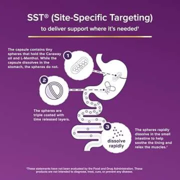 FDgard Gut Health Supplement, Indigestion, Nausea & Bloating, Upset Stomach, 36 Capsules (Packaging May Vary)