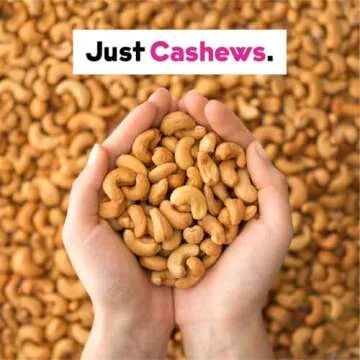 Cashew Milk Unsweetened Plain Concentrate by JOI - 60 Quarts - Vegan, Kosher, Shelf Stable, Keto-Friendly, Dairy Free, & Fat Free Milk - Almond Milk Powder Substitute, Coffee & Plant Milk Creamer