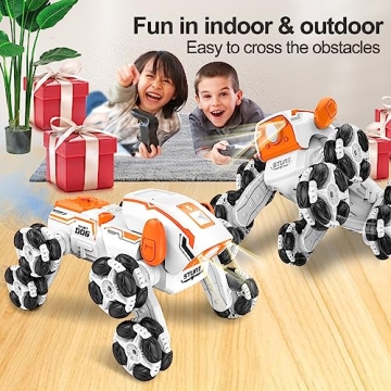 TRIPLEFINE Robot Dog RC-Car With Spraying Lights for Kids