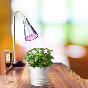 Feit Electric 60W LED Grow Light Bulb Perfect for Indoor Plants
