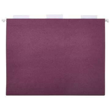 Amazon Basics Hanging Folders, Pack of 25, Letter Size, Assorted Jewel-tone Colors