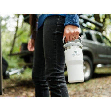 Stanley IceFlow Stainless Steel Tumbler with Straw - Vacuum Insulated Water Bottle for Home, Office or Car - Reusable Cup with Straw Leak Resistant Flip - Cold for 12 Hours or Iced for 2 Days (Polar)