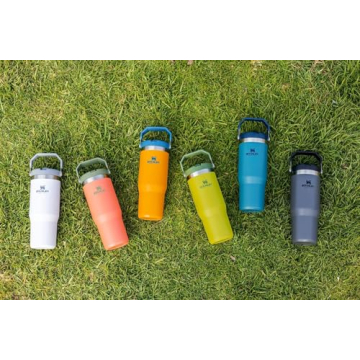 Stanley IceFlow Stainless Steel Tumbler with Straw - Vacuum Insulated Water Bottle for Home, Office or Car - Reusable Cup with Straw Leak Resistant Flip - Cold for 12 Hours or Iced for 2 Days (Polar)