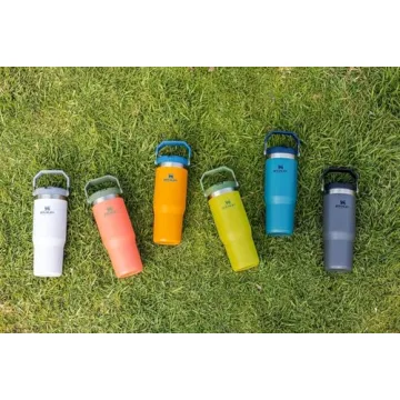 Stanley IceFlow Stainless Steel Tumbler with Straw - Vacuum Insulated Water Bottle for Home, Office or Car - Reusable Cup with Straw Leak Resistant Flip - Cold for 12 Hours or Iced for 2 Days (Polar)