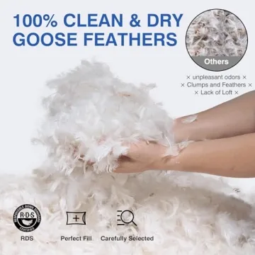 zibroges DP01 Luxurious Bed Pillows Queen Size Set of 2