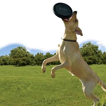 KONG Extreme Flyer - Dog Toy Supports Healthy Exercise - Soft Disc for Dogs - Toy for Fetch & Retrie...