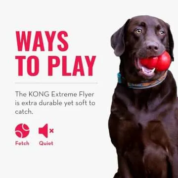 KONG Extreme Flyer - Dog Toy Supports Healthy Exercise - Soft Disc for Dogs - Toy for Fetch & Retrieve - Durable Flying Disc Dog Toy with Rebound - for Large Dogs