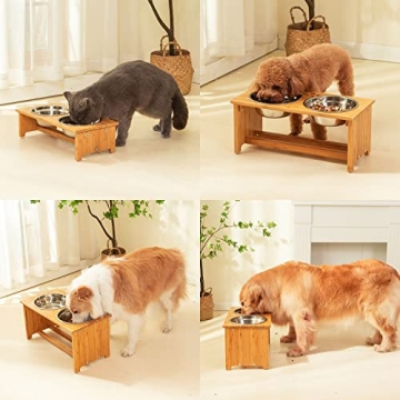 Elevated Pet Bowls for Cats and Small Dogs | FOREYY