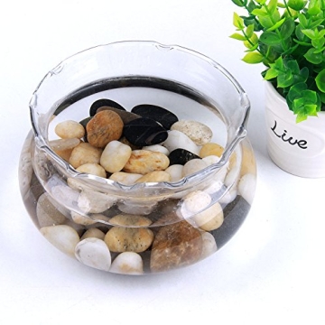 5 Pounds Natural Polished River Rocks for Decor