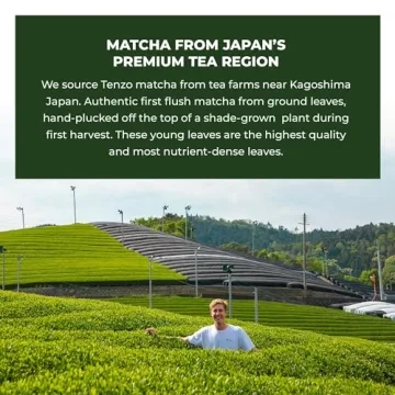 Tenzo Organic Matcha Green Tea Powder for On-the-Go Energy