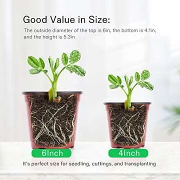 VIVOSUN 50 Pcs 6 Inch Plastic Plant Nursery Pots, Seed Starting Pot, Flower Plant Container for Seedlings, Cuttings, Transplanting