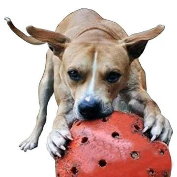 Indestructible 10 Large Dog Ball in Orange Pit Bulls Mastiffs Rottweiler by Unbranded