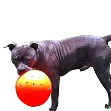 Indestructible 10 Large Dog Ball in Orange Pit Bulls Mastiffs Rottweiler by Unbranded