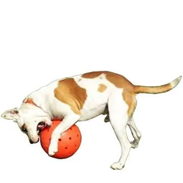 Indestructible 10 Large Dog Ball in Orange Pit Bulls Mastiffs Rottweiler by Unbranded