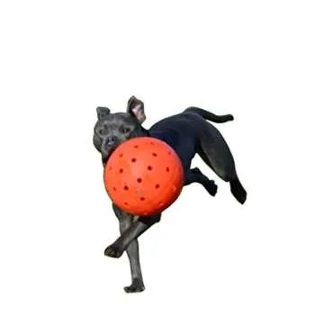 Indestructible 10 Large Dog Ball in Orange Pit Bulls Mastiffs Rottweiler by Unbranded