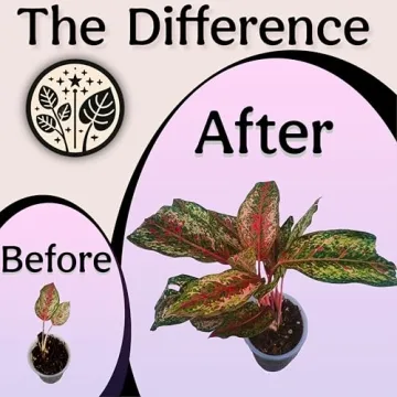 Craft Organic Houseplant Potting Mix for All Indoor Plants