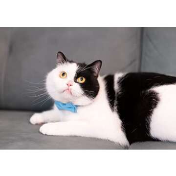 Gyapet Cat Collar Breakaway Bowtie Safety with Bell Adjustbale Kitten Puppy Solid Plaid Color Set J-...