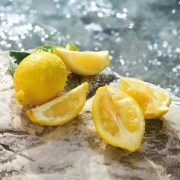 Dolce & Gabbana Light Blue Eau de Toilette for Women