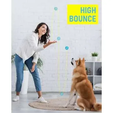 PrimePets 2.5 Inch Tennis Balls for Dogs - Interactive Fetch Toy