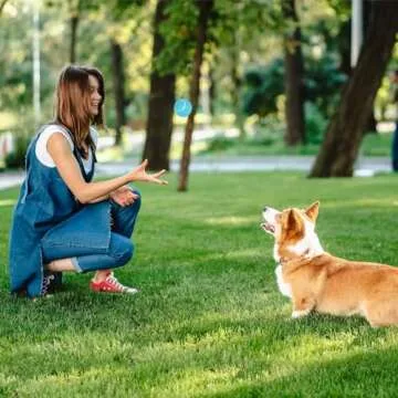 PrimePets 2.5 Inch Tennis Balls for Dogs - Interactive Fetch Toy