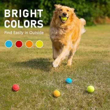 PrimePets 2.5 Inch Tennis Balls for Dogs - Interactive Fetch Toy