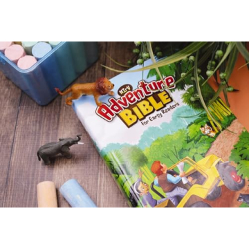 NIrV Adventure Bible for Early Readers - Colorful & Engaging