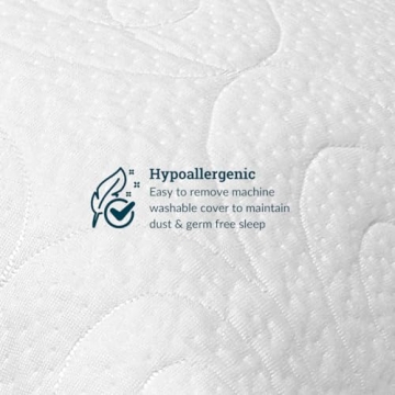 Lagoon Chinchilla Ultra Soft Adjustable Pillow for All Ages