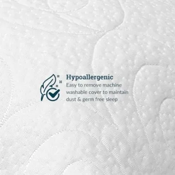 Lagoon Chinchilla Ultra Soft Adjustable Pillow for All Ages