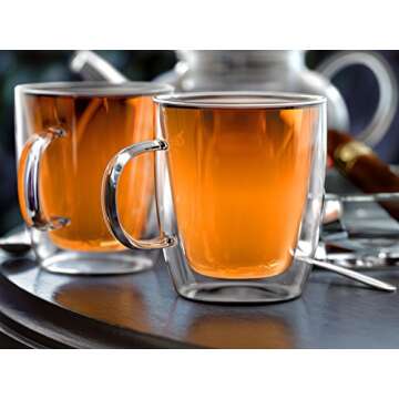 Stone & Mill Double Wall Glass Coffee Mugs Set of 2