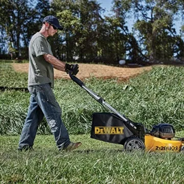 DEWALT Dominator Safety Glasses Clear Lens 1C