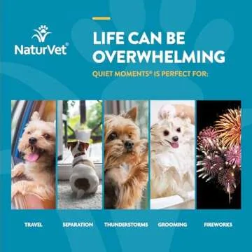 NaturVet Quiet Moments Calming Aid Dog Supplement – Helps Promote Relaxation, Reduce Stress, Storm Anxiety, Fireworks, Motion Sickness for Dogs – Tasty Pet Soft Chews with Melatonin – 70 Ct.