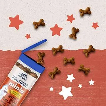 Natural Balance Mini-Rewards Salmon Grain-Free Dog Treats