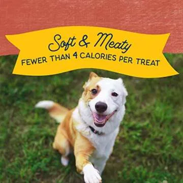 Natural Balance Mini-Rewards Salmon Grain-Free Dog Treats