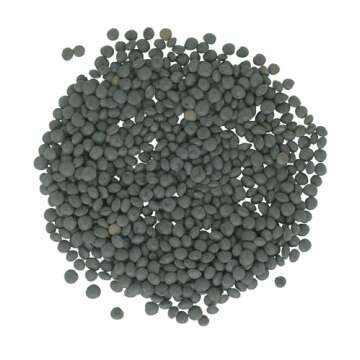 Black Lentils | Caviar or Beluga Lentils | 4 lbs | Non-GMO | Kosher | Vegan | Non-Irradiated